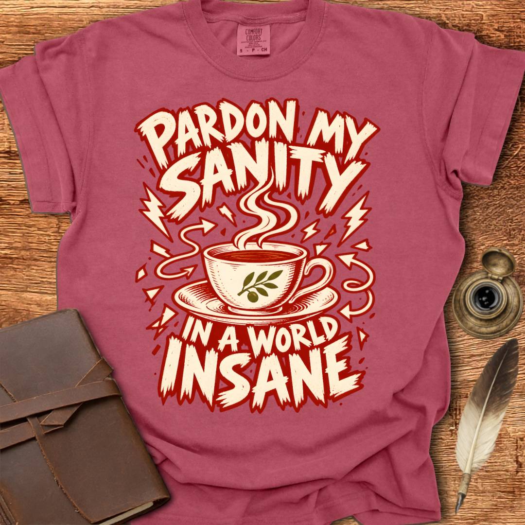 Pardon my Sanity in a World Insane - Creativity T-shirt